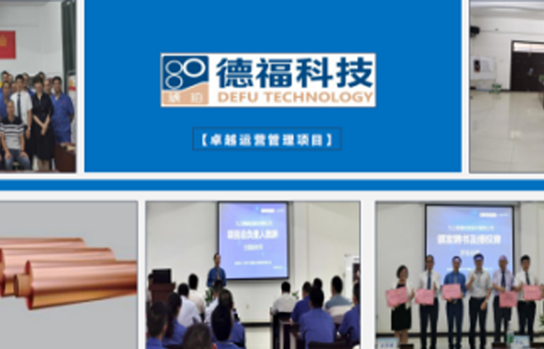  德福科技股份有限公司《卓越运营管理》